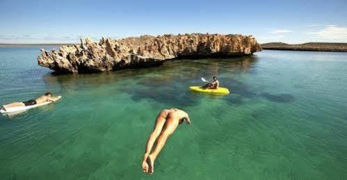 Dirk Hartog Island Eco Lodge Denham Eksteriør billede